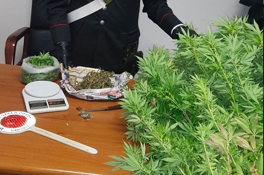 III SERVICE – Antidrug Operations
